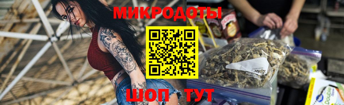Псилоцибиновые грибы Psilocybe Шадринск