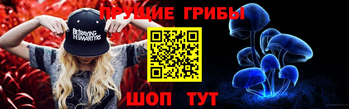 Псилоцибиновые грибы Cubensis  Вход с VPN  Шадринск 